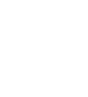 The Nordic Insight Blog