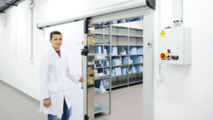 shipping refrigerated items
