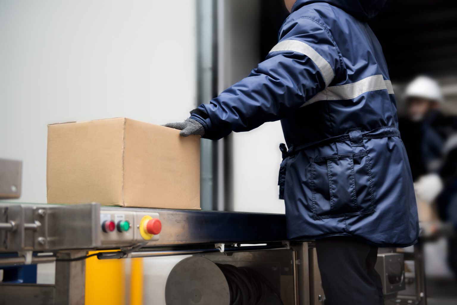 Package boxes of ready meals on conveyor belt