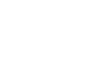 NORDIC viking