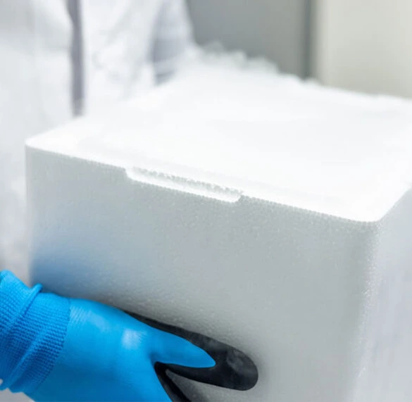 A laboratory professional wearing protective thermal gloves handling an insulated EPS foam shipper for frozen healthcare products and biologics.